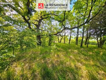 terrain 2 100 m² revel