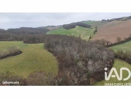 terrain 99131 m² montastruc-savès