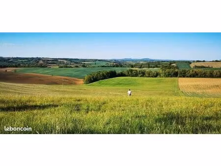terrain constructible