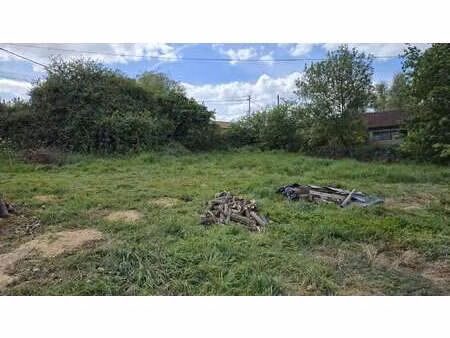 vente terrain à champtoceaux (49270) : à vendre / champtoceaux