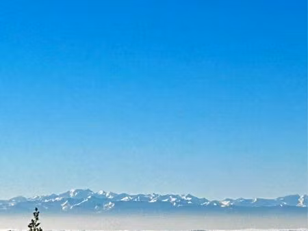 terrain constructible viabilisé – 1 723 m² – vue pyrénées – arboré
