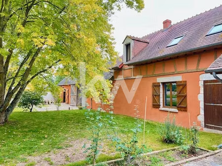 maison ancienne à vendre  9 pièces - traînou 45470