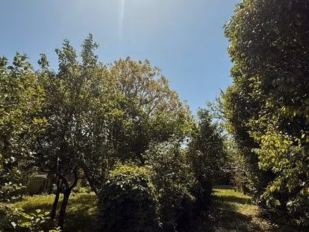 terrain à bartir
