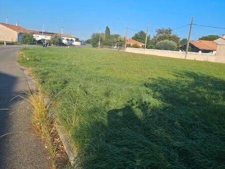 terrain 1000m²