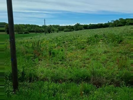 terres agricoles
