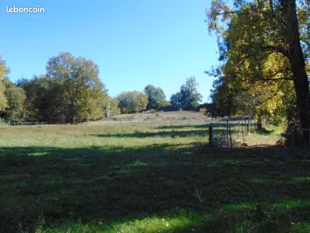 terrain 1ha chevaux  moutons