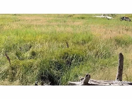 terrain 400 m² hourtin