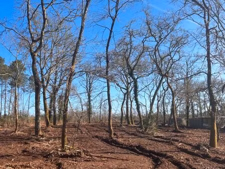 vente terrain salles