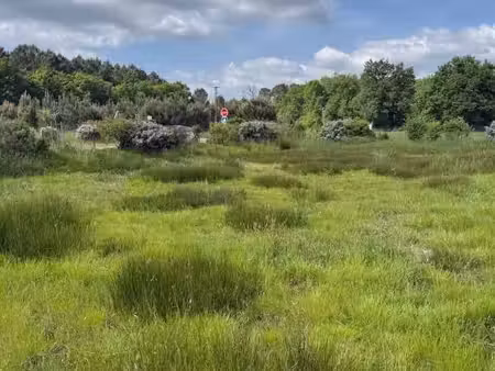 terrain 570 m² salaunes