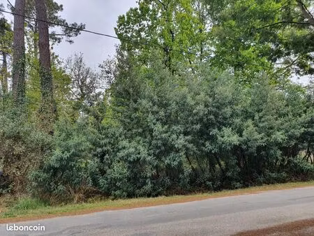 terrain 653 m² le porge