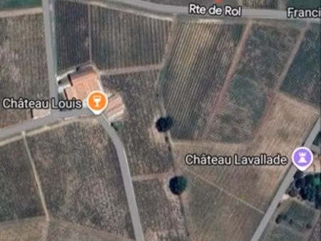 parcelle 1 hectare de vigne