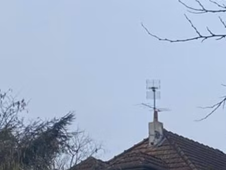 bordeaux cauderan grand lebrun maison de caractere 175 m2