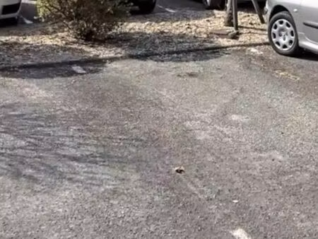 place de parking