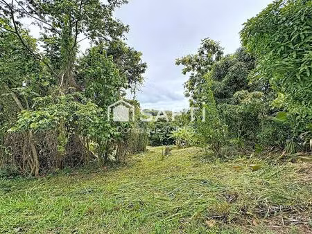 vente terrain 1075 m² la trinité (97220)
