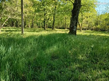 terrain pour chevaux