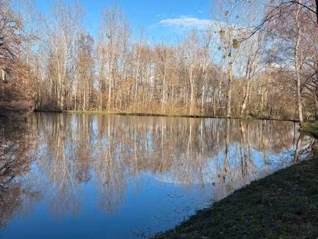 terrain avec etang