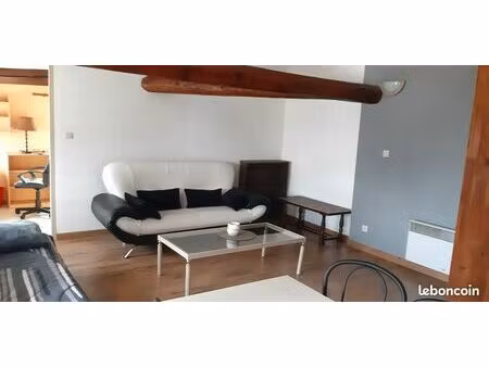 nancy commanderie - f2 meublé (54 m²)