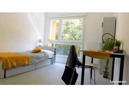 appartement 1 pièce 20 m²