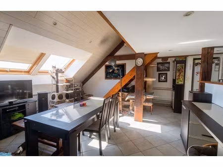 appartement sous combles