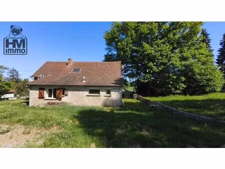 maison fort potentiel + 5000 m² terrain-hameau chateau chervix