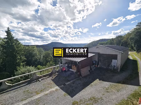 a heiligenberg   hangar sur environ 7.6 ares