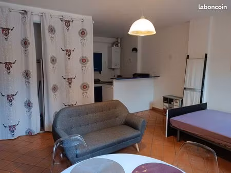location appartement type studio hyper centre ville de perpignan