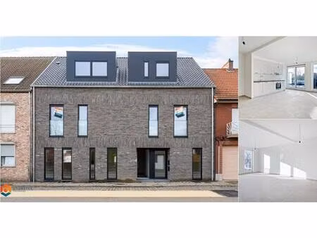 appartement à louer à ter voort 123 westerlo (rbv79590)