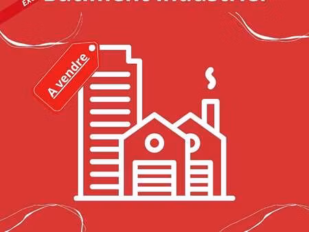 vente bureaux et commerces aux sables-d'olonne (85100) : à vendre / 526m² les sables-d'olo