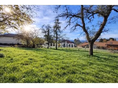 terrain constructible 550m2 - contamine-sur-arve.