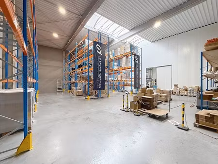 commercieel te huur in kruisem