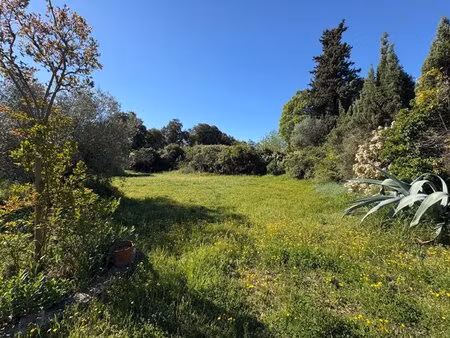 terrain constructible