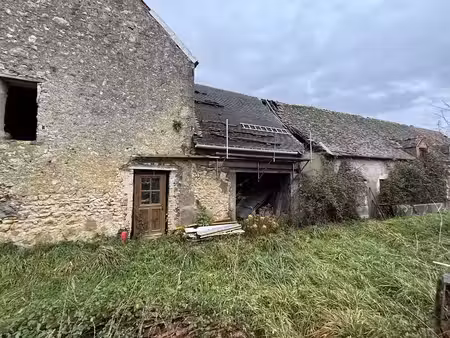 vente maison 4 pièces 100 m² à dammarie-en-puisaye (45420)  39 000 €
