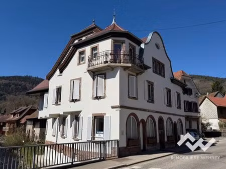 prestigieux immeuble de rapport en vente à metzeral  france