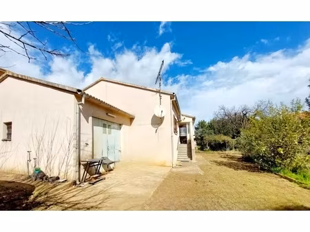 dpt corse (20)  à vendre san nicolao maison plain pied avec terrain