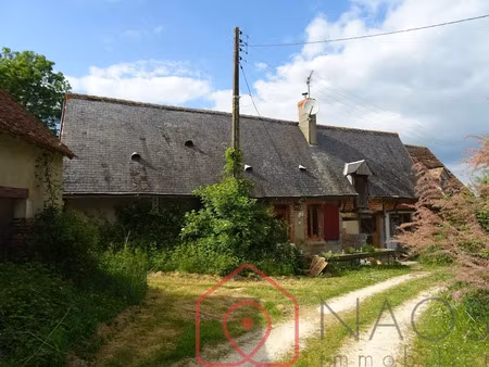 vente maison 4 pièces 120 m² à barlieu (18260)  96 000 €