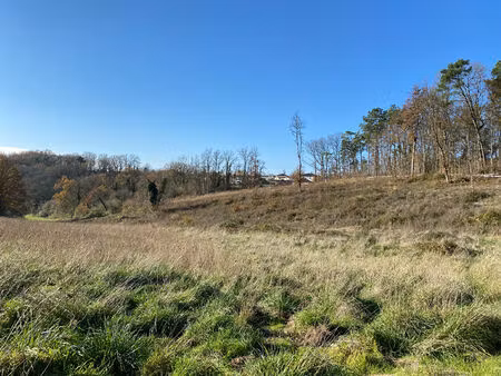 terrain 0 pièces 7350 m² à vendre / acheter trélissac 24750 ? | era immobilier