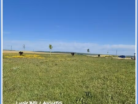 à vendre - magnifique terrain viabilisé de 2742 m² à onjon (à 20 min de troyes)
