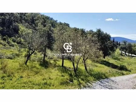 terrain de 6922 m2 - grimaud  france