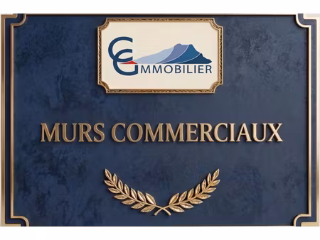 annonce commerce à vendre