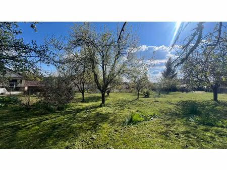 vente terrain  500.00m²  longchamp