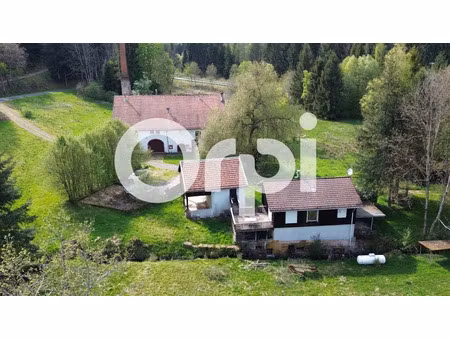 vente ferme 20 pièces 304 m² à bois-de-champ (88600)  349 000 €