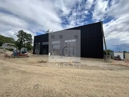 location local d’activités trevoux 01600 223m²
