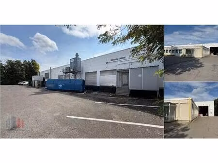 surface industrielle à vendre à vierwinden 5b zaventem (rbv79666)