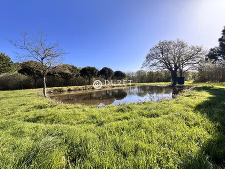 achat terrain 28 830m² corcoue sur logne 44650