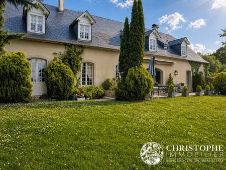 vente maison 7 pièces 300m2 nay 64800 - 997000 € - surface privée