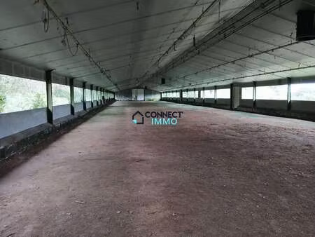 vente bureaux et commerces à plévin (22340) : à vendre / 1000m² plévin