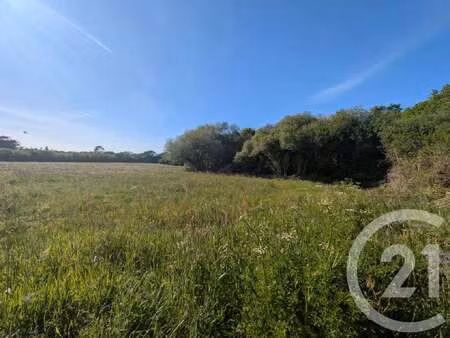 vente terrain à port-navalo (56640) : à vendre / 651m² port-navalo