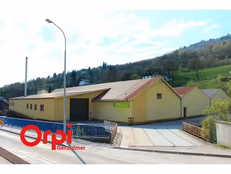 vente immeuble à la bresse (88250)  470 000 €