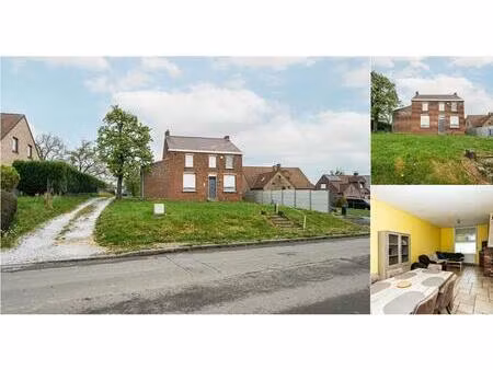 maison à vendre avec terrasse et jardin   blaregnies (vbe16322)
