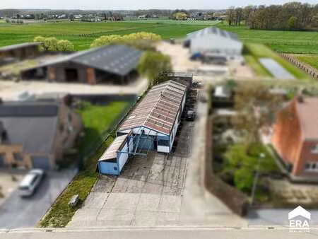 local commercial avec espace de stockage à hasselt